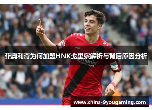 菲奥利奇为何加盟HNK戈里察解析与背后原因分析