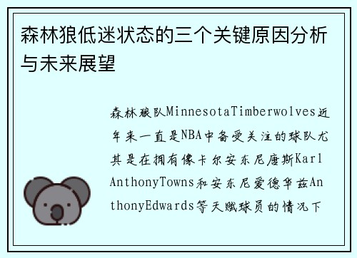 森林狼低迷状态的三个关键原因分析与未来展望