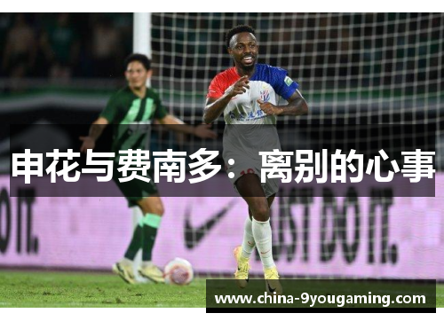 申花与费南多：离别的心事