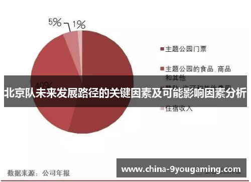 北京队未来发展路径的关键因素及可能影响因素分析