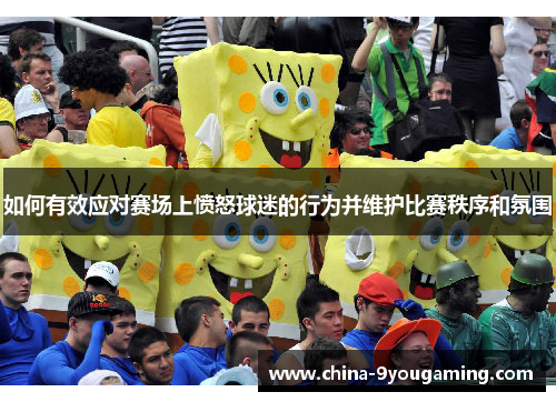 如何有效应对赛场上愤怒球迷的行为并维护比赛秩序和氛围