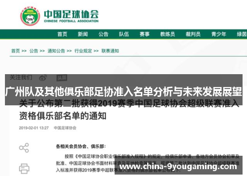 广州队及其他俱乐部足协准入名单分析与未来发展展望