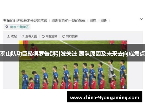 泰山队功臣桑德罗告别引发关注 离队原因及未来去向成焦点