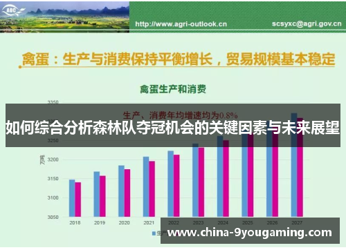 如何综合分析森林队夺冠机会的关键因素与未来展望
