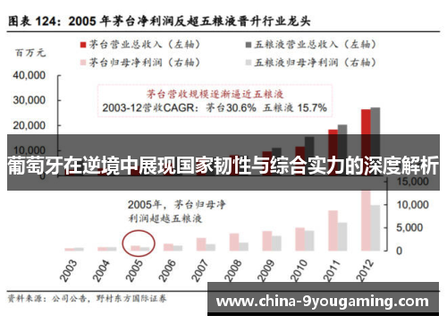 葡萄牙在逆境中展现国家韧性与综合实力的深度解析