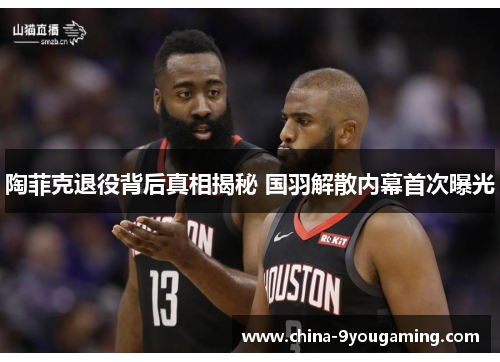 陶菲克退役背后真相揭秘 国羽解散内幕首次曝光