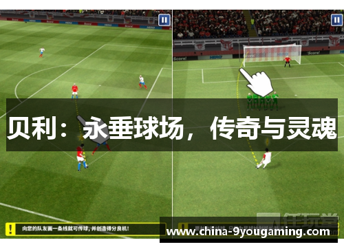 贝利:永垂球场,传奇与灵魂 贝利:永垂球场,传奇与灵魂
