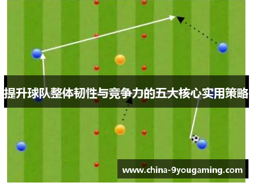 提升球队整体韧性与竞争力的五大核心实用策略