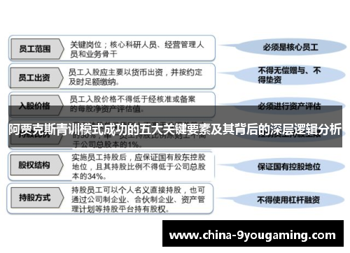 阿贾克斯青训模式成功的五大关键要素及其背后的深层逻辑分析 阿贾克斯青训模式成功的五大关键要素及其背后的深层逻辑分析