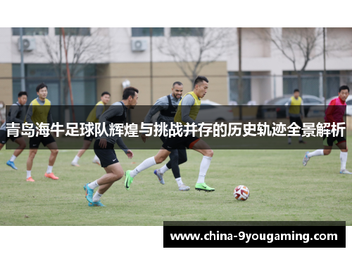 青岛海牛足球队辉煌与挑战并存的历史轨迹全景解析