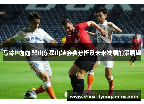 马德鲁加加盟山东泰山转会费分析及未来发展前景展望