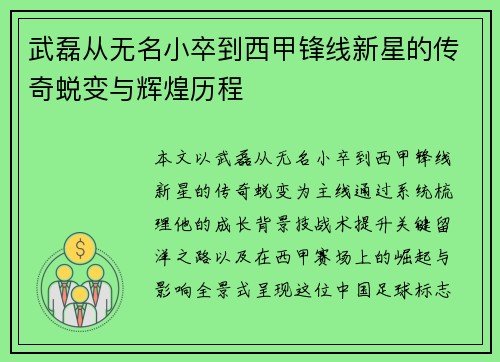武磊从无名小卒到西甲锋线新星的传奇蜕变与辉煌历程